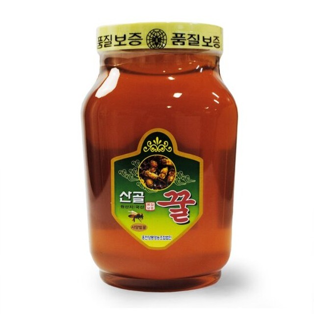 동광 이미지