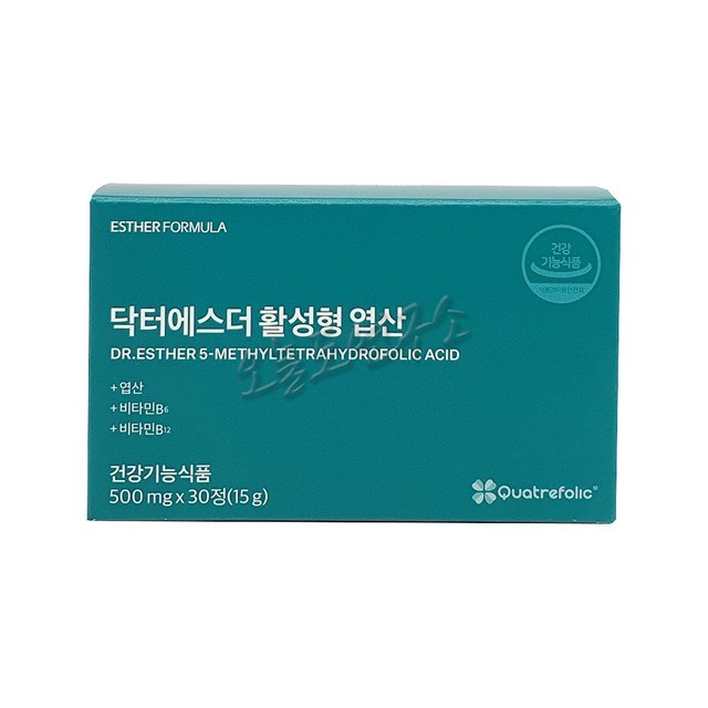 에스더 이미지