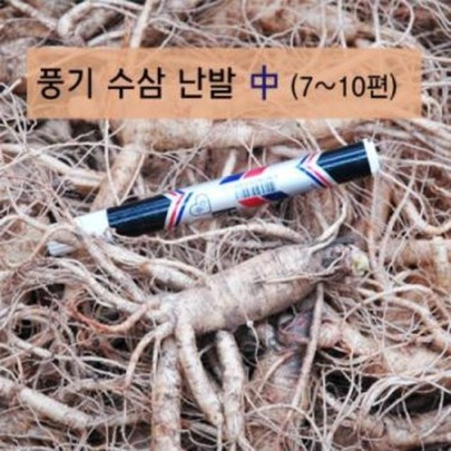 인삼 이미지