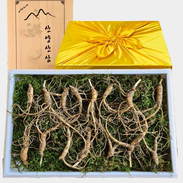 한국명품산삼 이미지