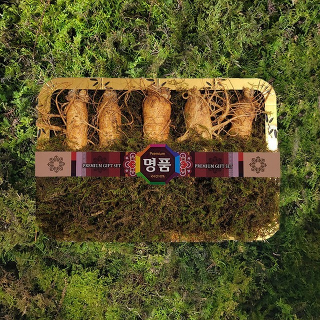 인삼 이미지