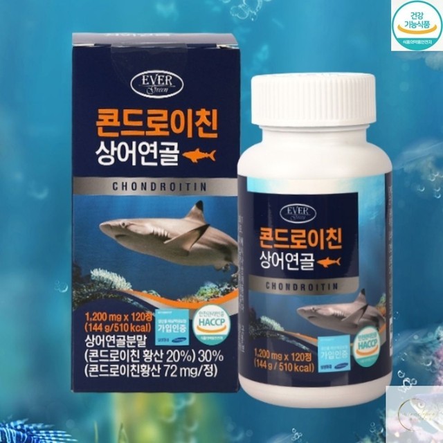 에버그린 이미지