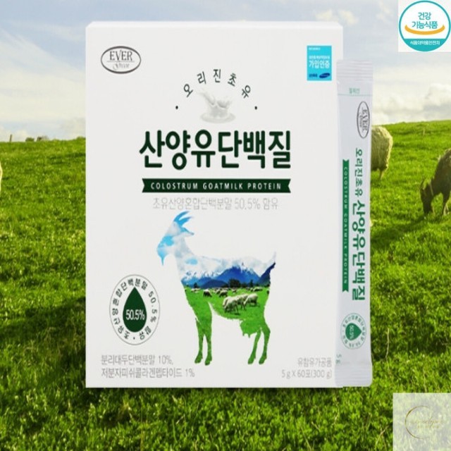 에버그린 이미지
