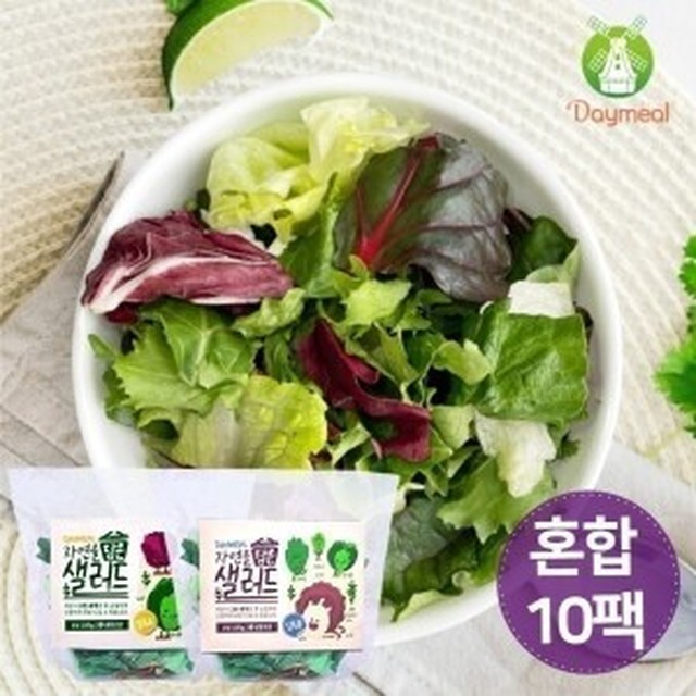 샐러드로 이미지