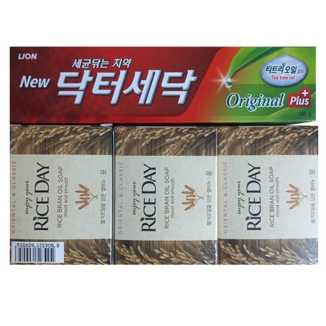 라이스데이 이미지