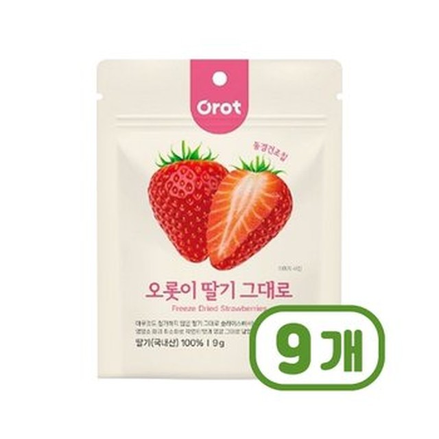 오롯이 이미지