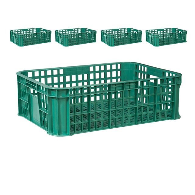 신선도 이미지