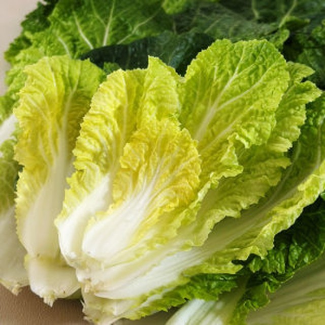 리빙진도 이미지