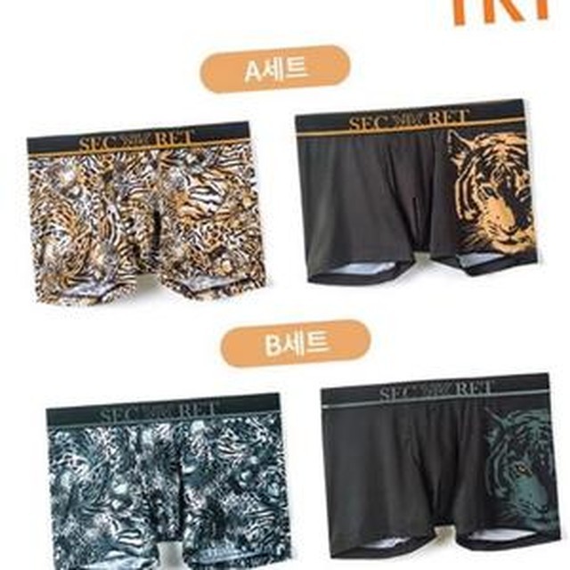 트라이 이미지