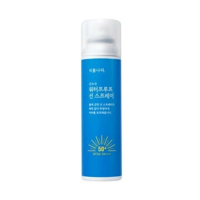 선이 이미지