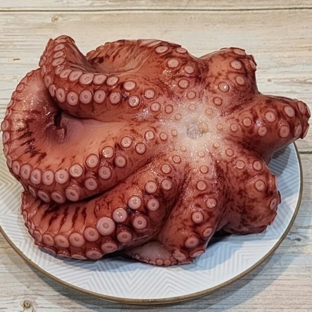 문어야 이미지
