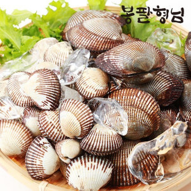 형님 이미지