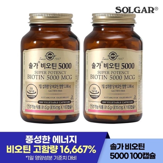 솔가 이미지