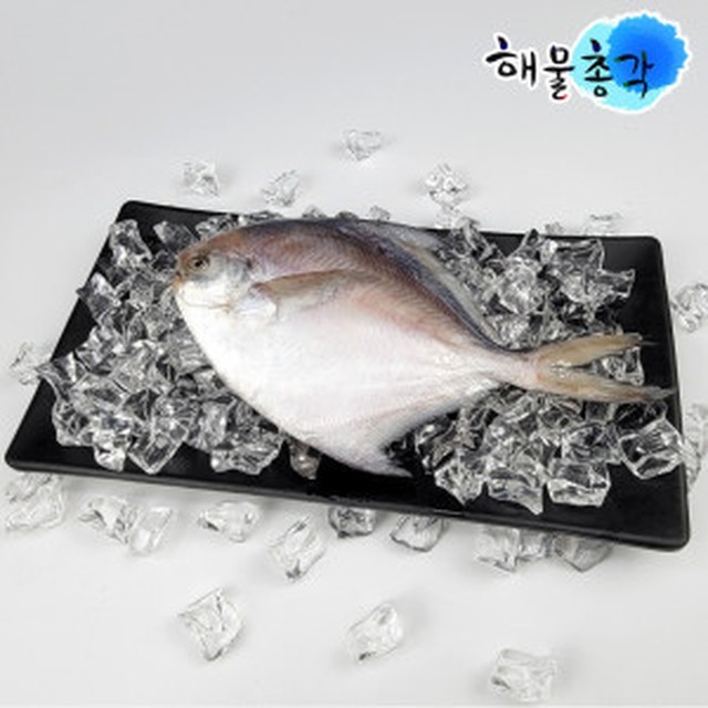 총각 이미지