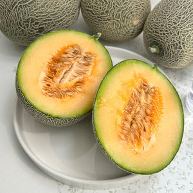 멜론 이미지