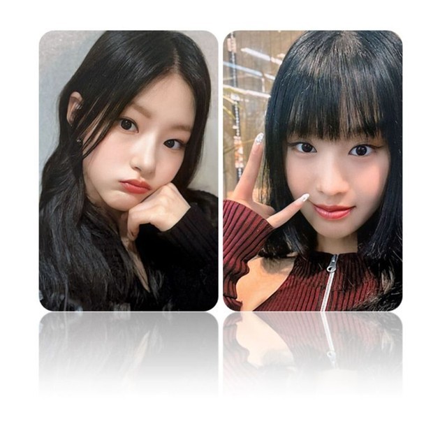포토라이프 이미지
