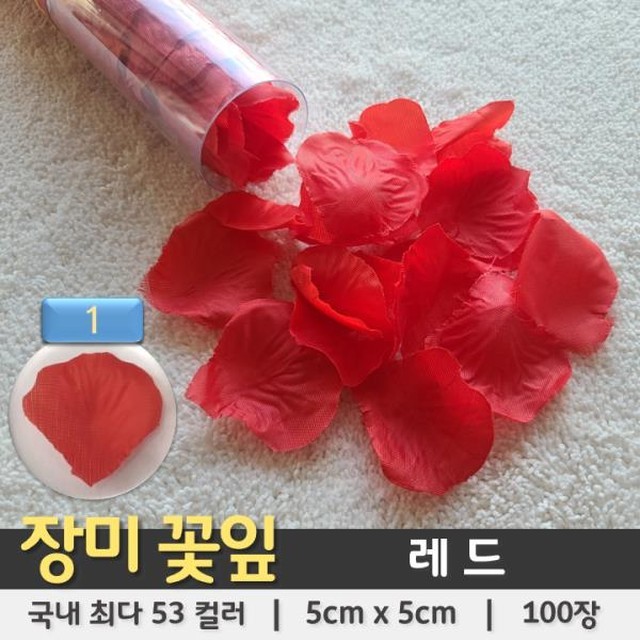 꽃잎플라워 이미지
