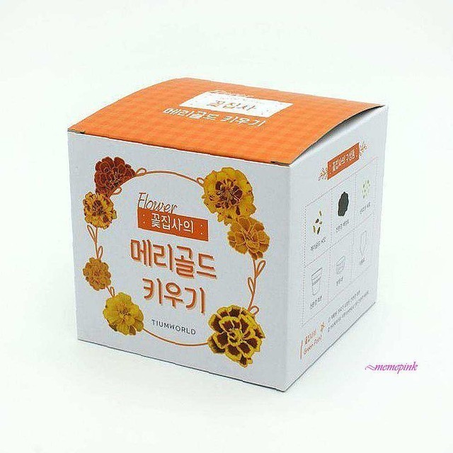 꽃집사 이미지