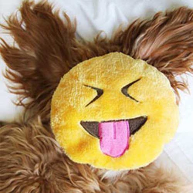 지피 이미지