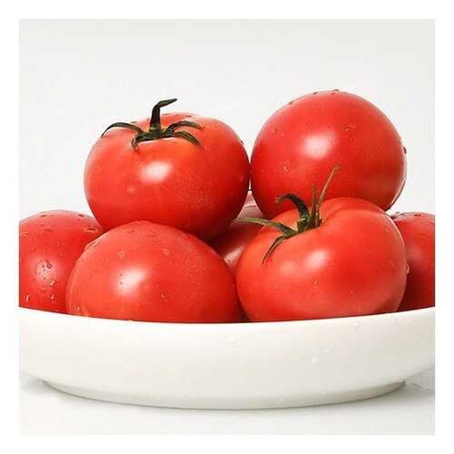 토마토 이미지