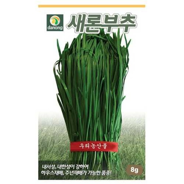 씨앗 이미지