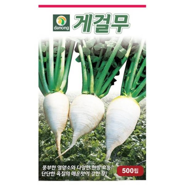 씨앗 이미지
