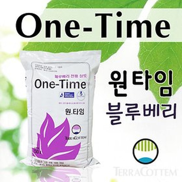 코템 이미지