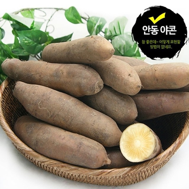 야콘 이미지