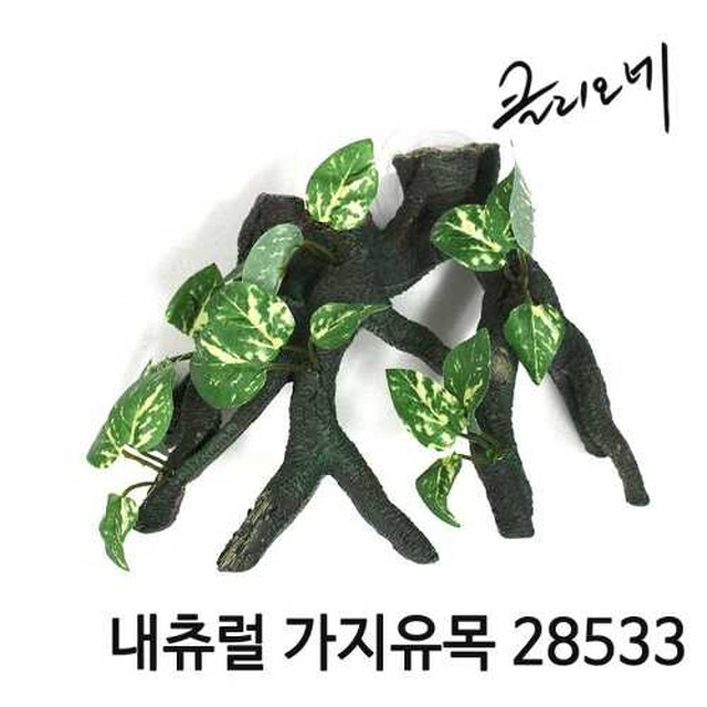 클리오네 이미지