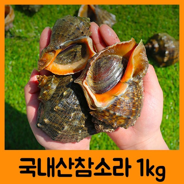 아름다운 정성 이미지