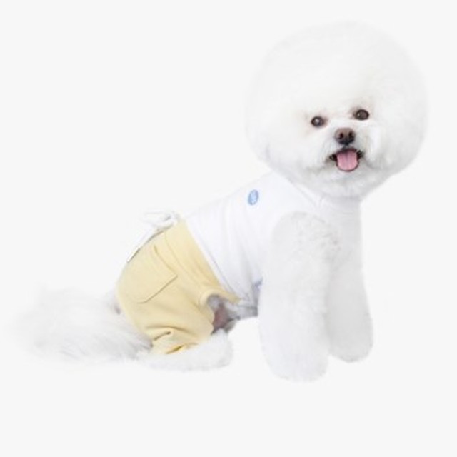 레스트오브 이미지