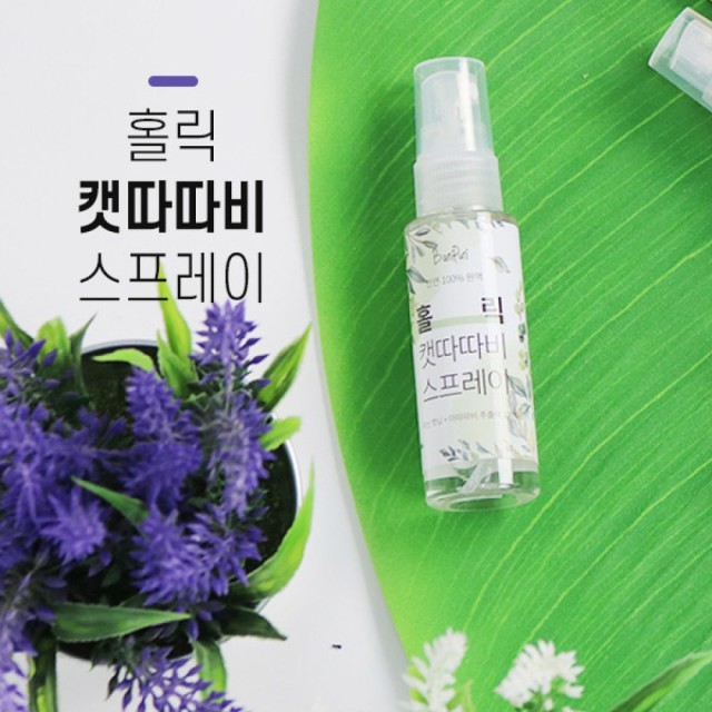 푸리 이미지