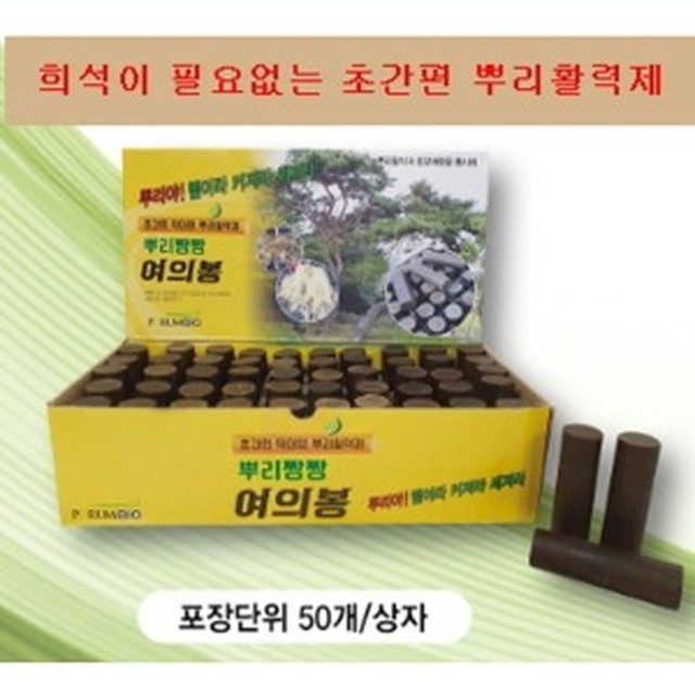 라이네쎄 이미지