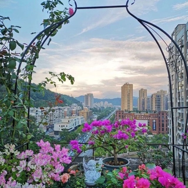 넝쿨화원 이미지