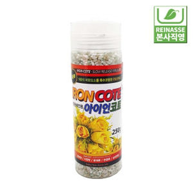 라이네쎄 이미지