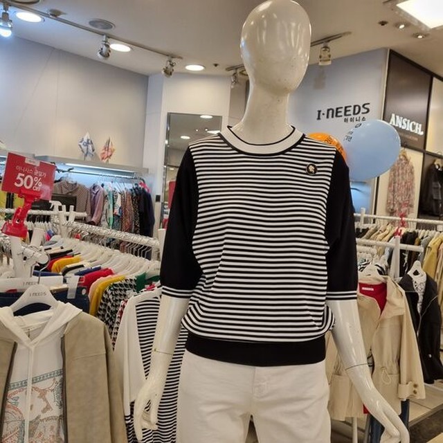 아이니스 이미지