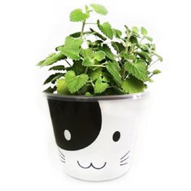 오드리네 이미지