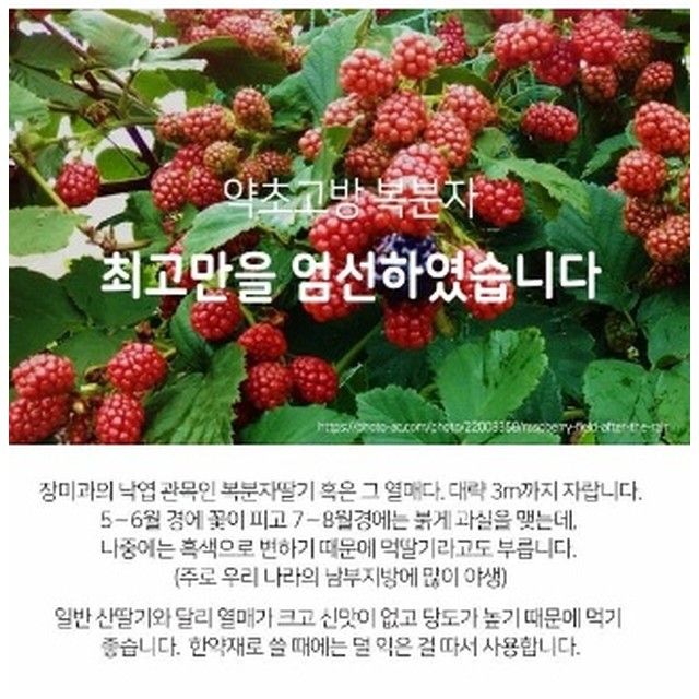 장수청정마을 이미지