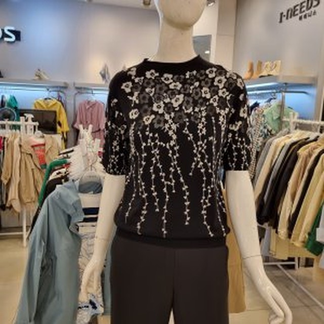 아이니스 이미지