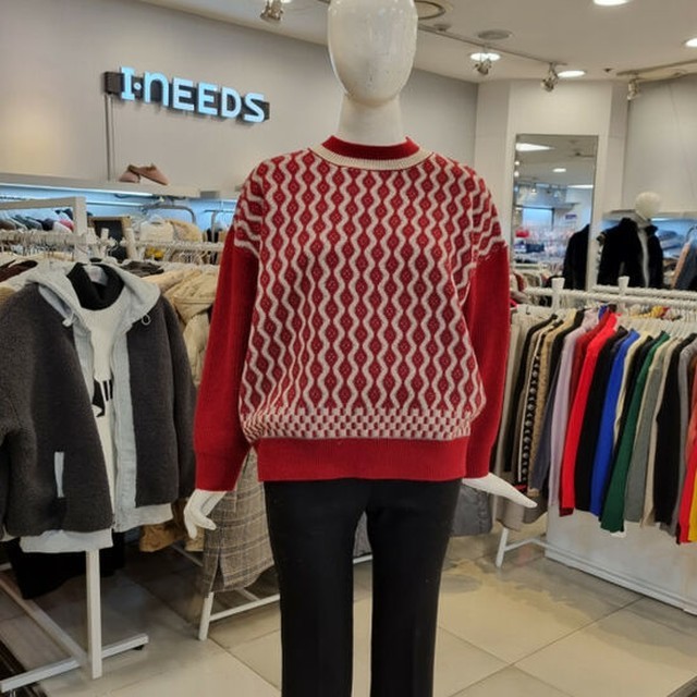아이니스 이미지