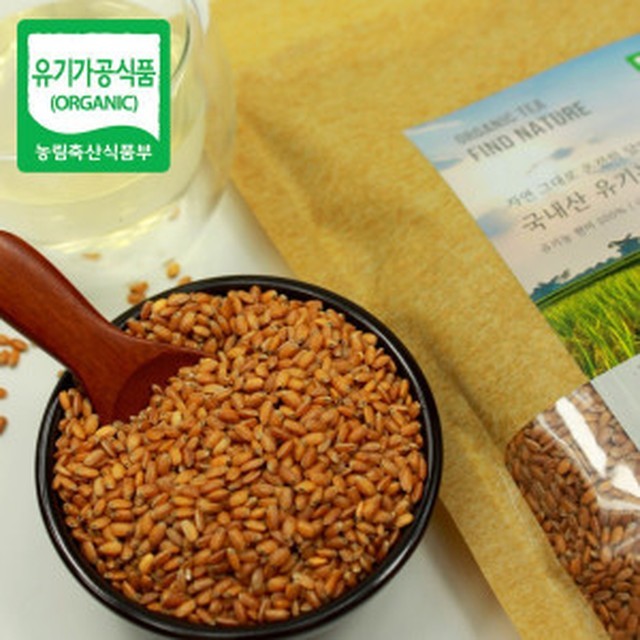 파인드네이처 이미지