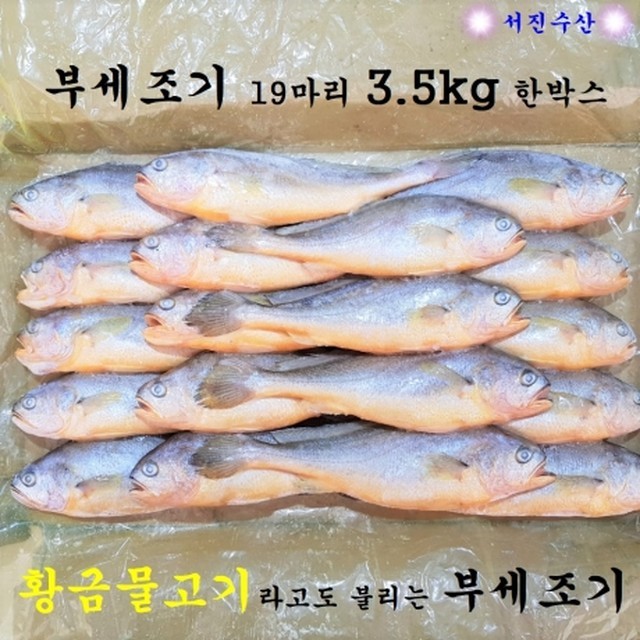 서진수산 이미지