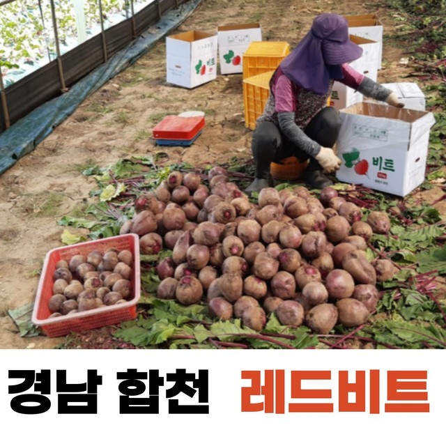 또또마켓 이미지