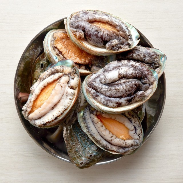 삼삼해물 이미지