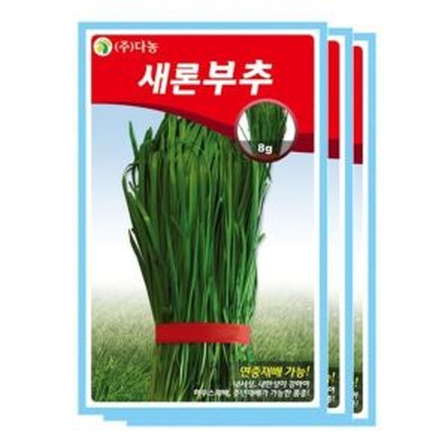 씨앗 이미지