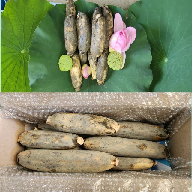 반야월농업협동조합 이미지