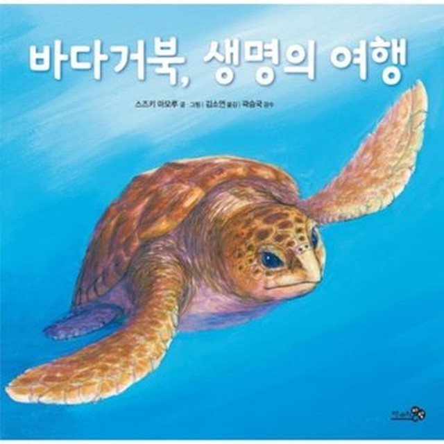 거북 이미지