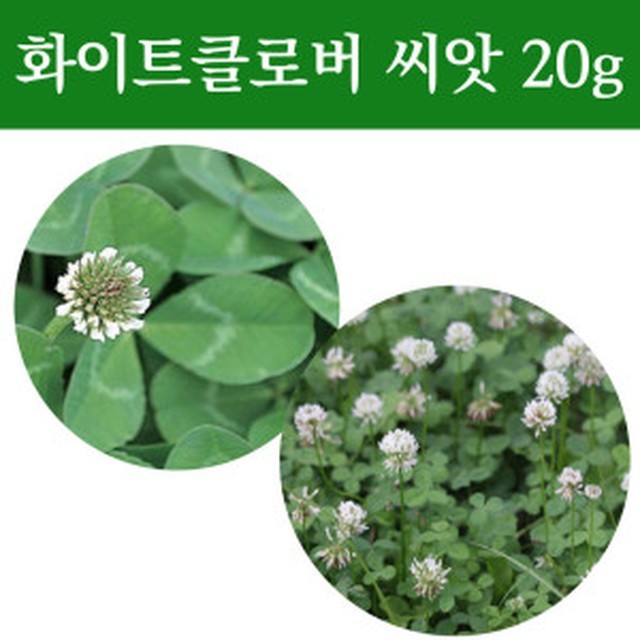 클로버조경 이미지