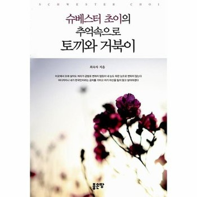 슈베스터 이미지