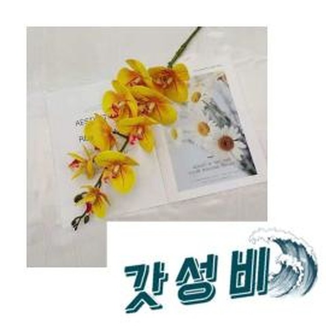 행운꽃플라워 이미지